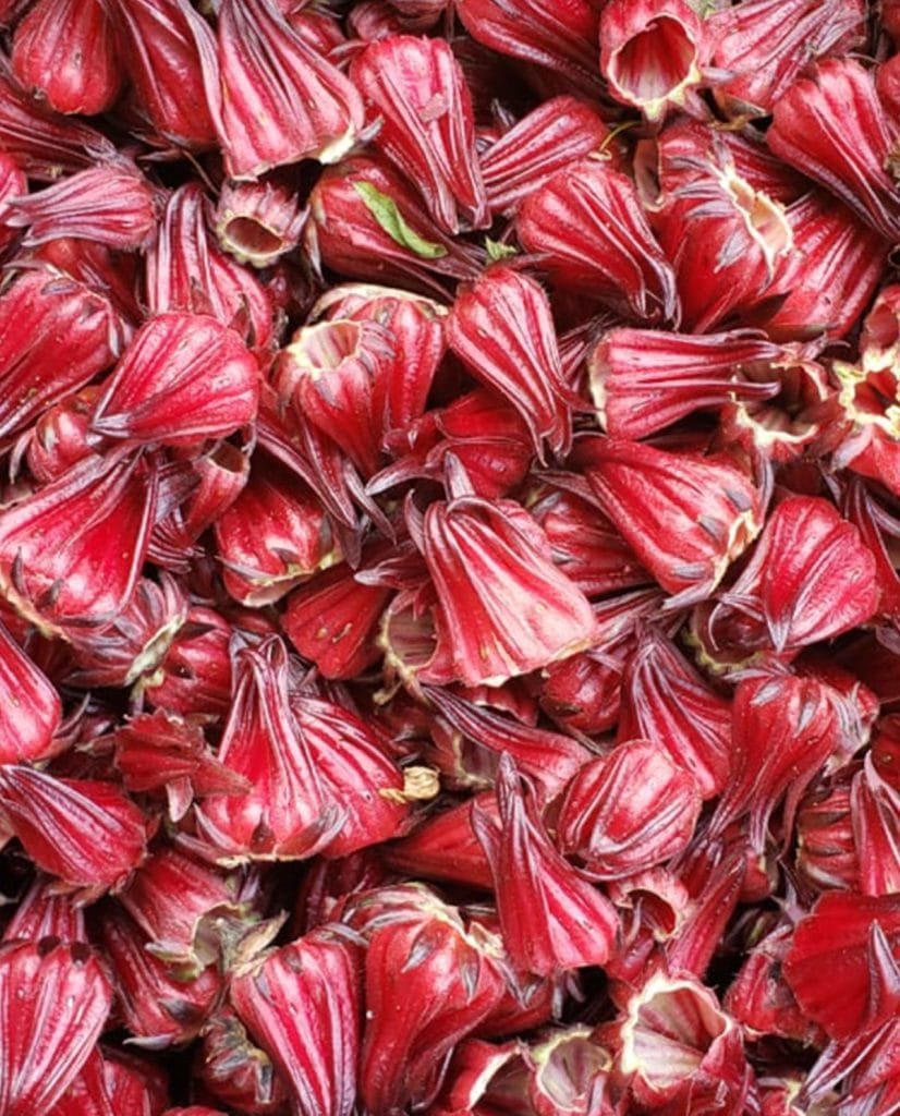 FLOR-DE-JAMAICA-1a
