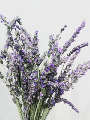 Lavanda Deshidratada 50gr | Munay