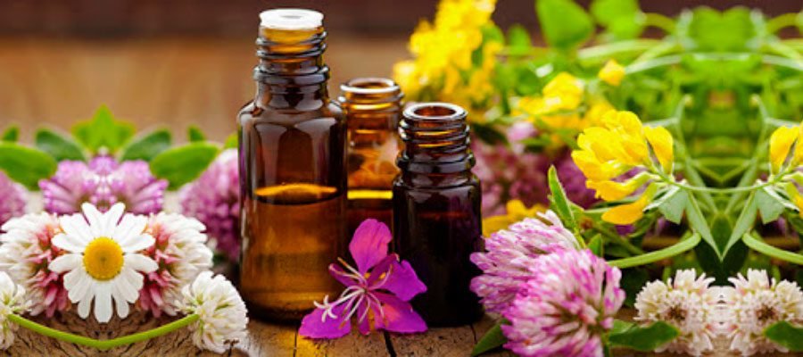 Preparaciones con plantas: esencias, tinturas y aceites esenciales. - Munay  Herbal
