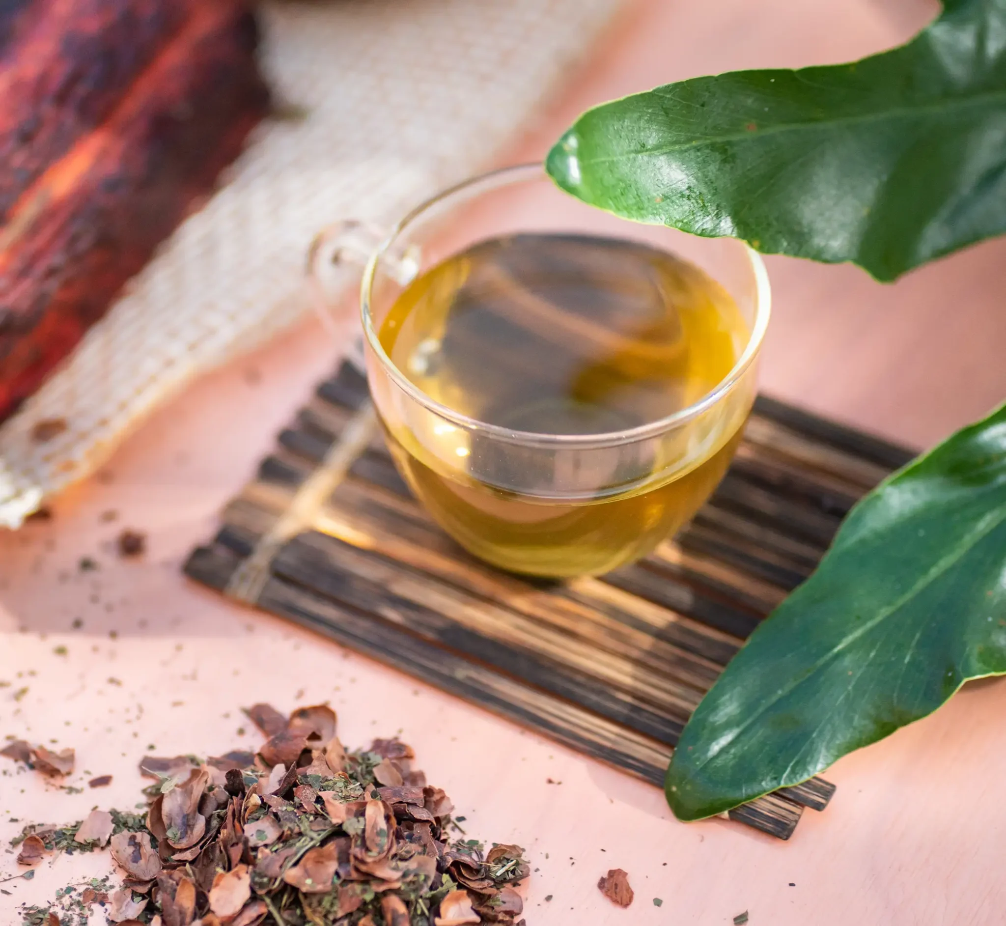 Cacao vital (5)