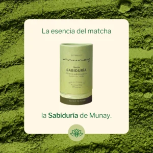 Matcha Sabiduría