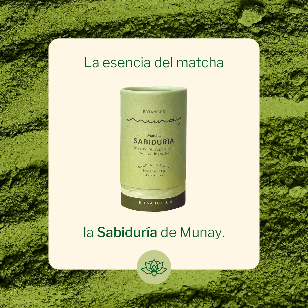 MATCHA_SAB_PW