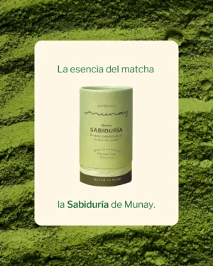 Matcha Sabiduría