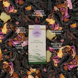 SOÑARDESPIERTO-FONDOMEZCLA (1)